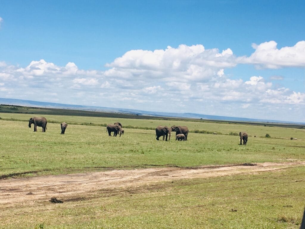 Walk among Giants in the Heart of Kenya's Maasai Mara.